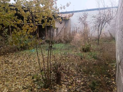 Участок Зангиота 3,5 сотки