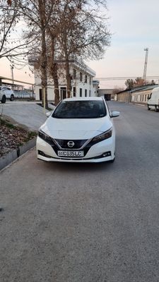 Nissan Leaf 2020