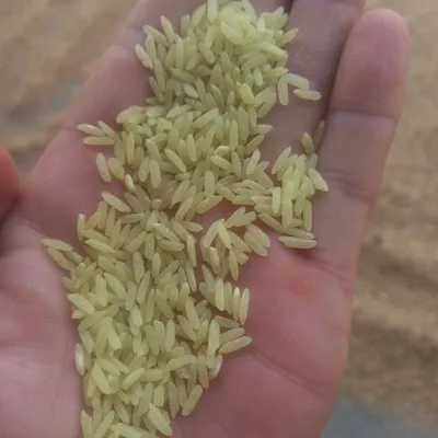 Krahmali olinmagan eski Lazer guruch