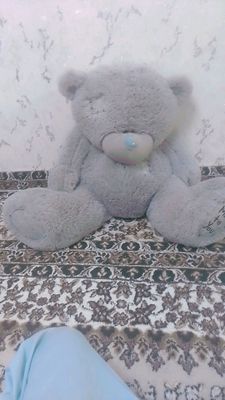 teddy bear