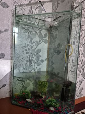 Akvarium boyi 1.40