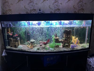 Avarium srochno podstafka va hamma detallari bn