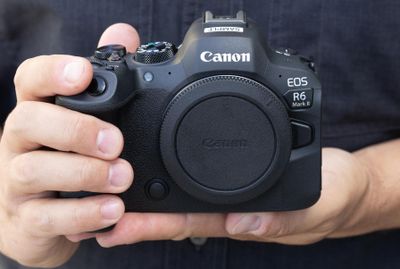 Canon eos R6 mark ii цифровая полнокадровая камера