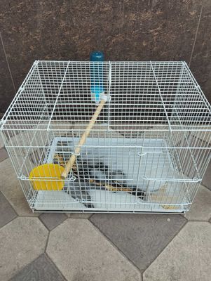 Куш кафаси сотилади арзон нархларда