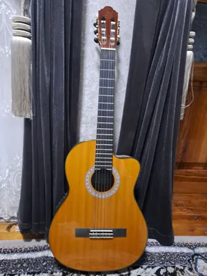 Guitar Yamaha C40