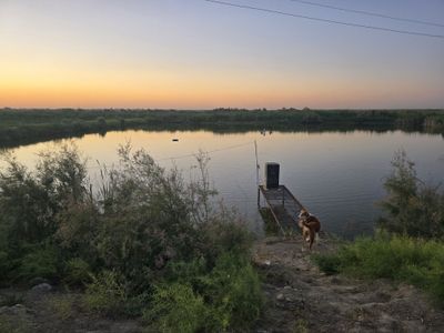 Ферма балик хона сотилади