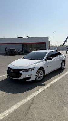 Malibu XL Full Oq rang