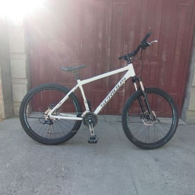 Germanski velosiped sotiladi