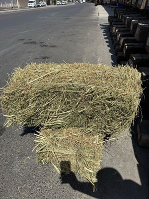 Беда пресс 42000