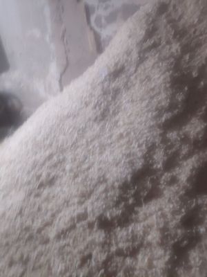Apilka bor narxi 15.000 soʻm