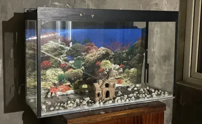 Продаём аквариум