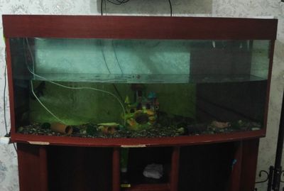 Akvarim sotiladi