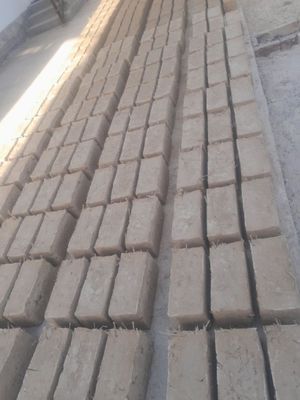 Сомон гишт 30 × 16