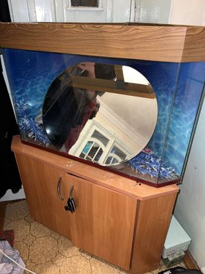 Akvarium holati yaxshi oynalari sinmagan