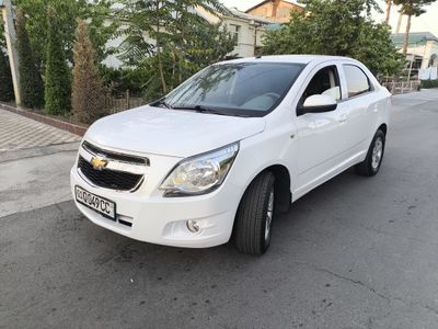 Arenda Vikup Cobalt 2023
