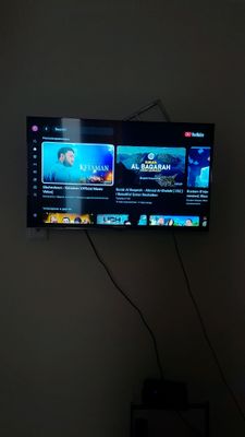 premier televizor