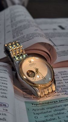 Rolex (oyster perpetual)
