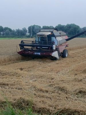 Vektor 410 kanbayn sotladi