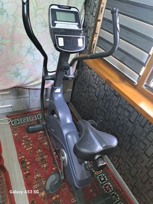 Velatrinajor