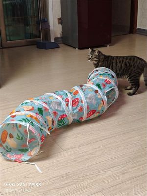 Игрушка для котиков