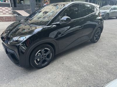 Byd seagull 2024