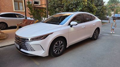 Byd chazor 2 позиция 2024