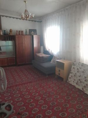 Саранча копирден тусгенде геофизика кошеде. Жер жай узак мудетге.