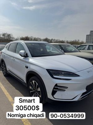 Byd Chempion smart