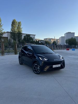 Аренда Byd seagull 2900 км