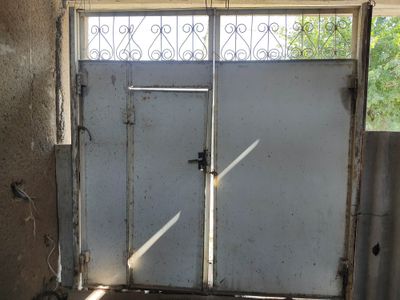 Дарвоза российский