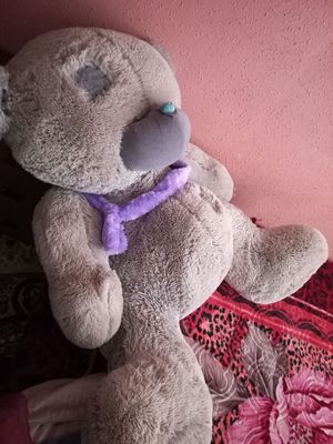 ayiqcha