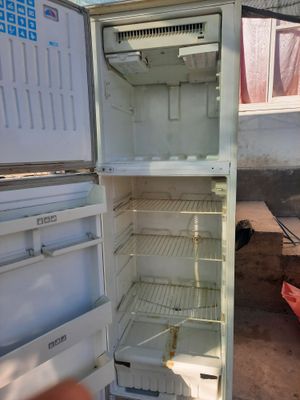 Haladilnik bor sotiladi 850 ming boyi 2 metr