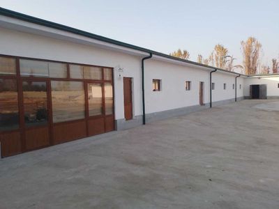 Тайёр Ферма чорвочилик учун
