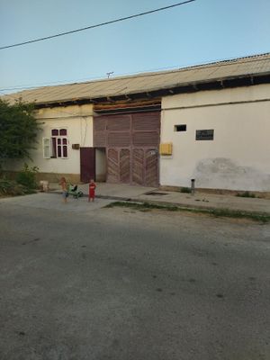 Ховли 8 сотик Чуткара