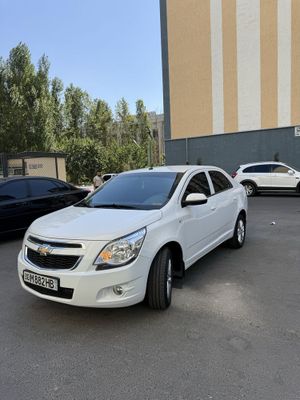 Cobalt 2024 srochna