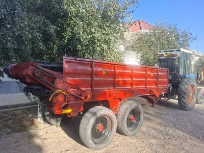 góng sepadigan sotiladi