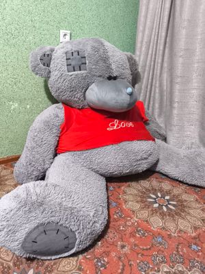 teddy ayiq