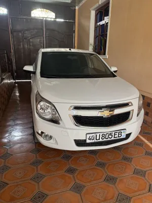 Cobolt 2023 yil sotiladi