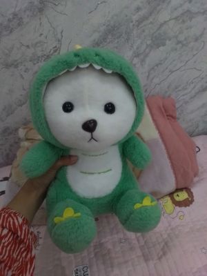 ayiqcha