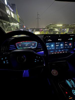Byd tang 2 matorli