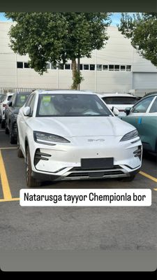 BYD chenpion 2025 natarus