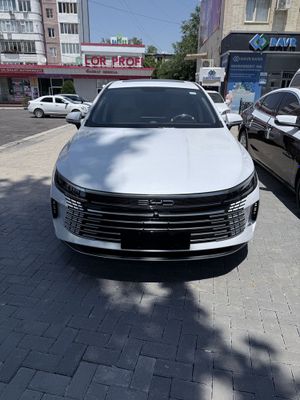 Byd chazor 2024