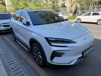 Byd chempion 520