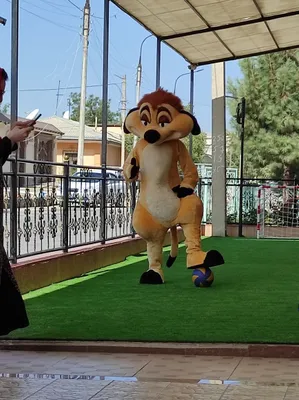 Аниматоры, мультгерои и клоуны