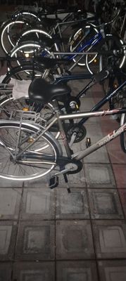 Velosipedlarlart