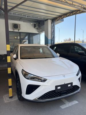 Neta L 310km full