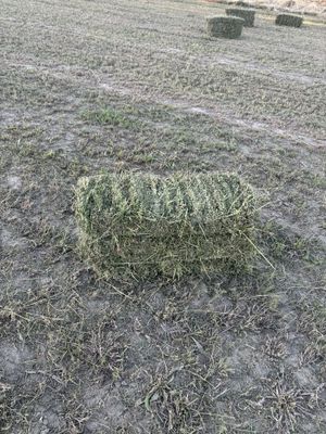 Беда пресс 3чи ўрим