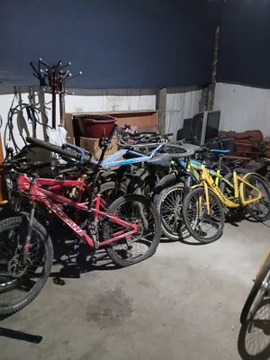 velo optomi shetta akalar