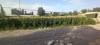 12 сутих учаска сотилади.
