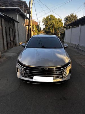 Byd Chazor Champion
